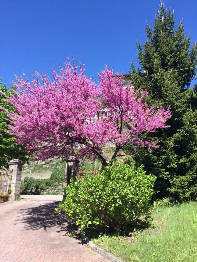 Como Country House Cavallasca 外观 照片
